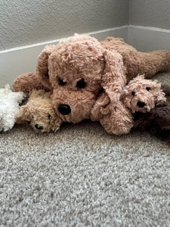 Other - Original Snug a Babies Dog Puppy Family Plush Mom With 4 Puppies Doodle